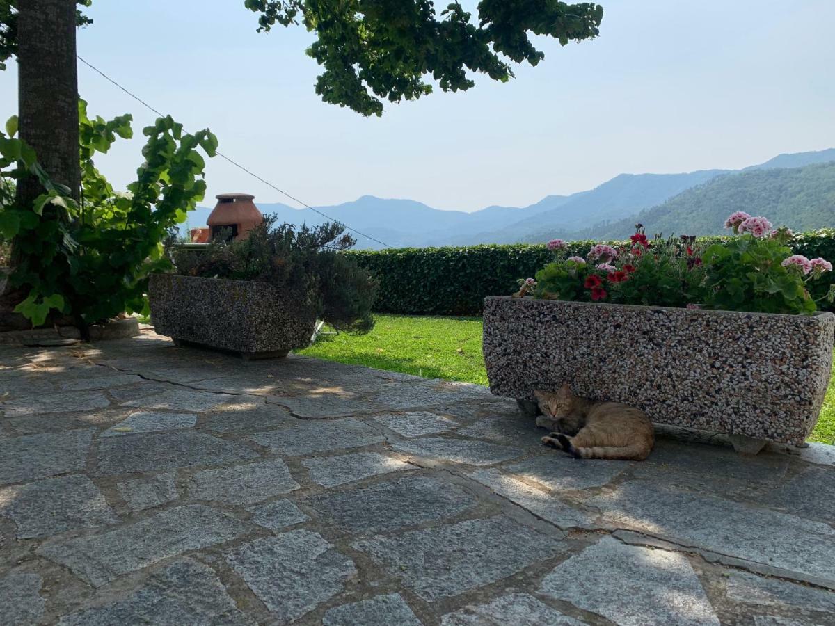 גרלנדה Agriturismo Gli Ulivi מראה חיצוני תמונה